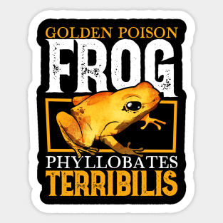 Golden Poison Frog Sticker